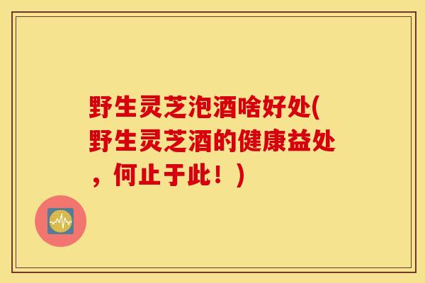 野生灵芝泡酒啥好处(野生灵芝酒的健康益处，何止于此！)
