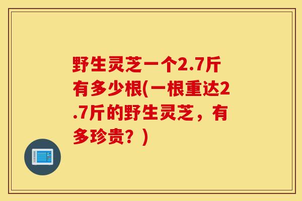 野生灵芝一个2.7斤有多少根(一根重达2.7斤的野生灵芝，有多珍贵？)