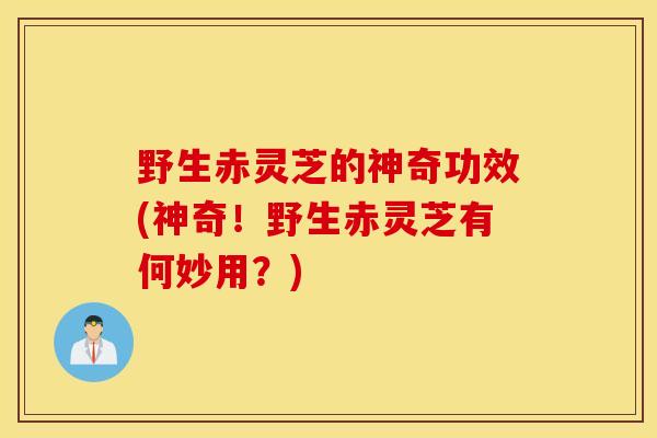 野生赤灵芝的神奇功效(神奇！野生赤灵芝有何妙用？)