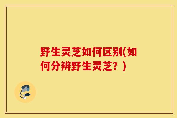 野生灵芝如何区别(如何分辨野生灵芝？)