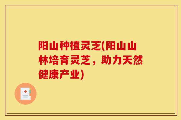 阳山种植灵芝(阳山山林培育灵芝，助力天然健康产业)