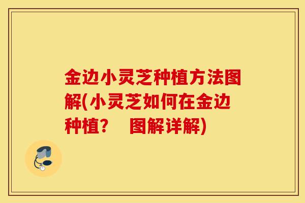 金边小灵芝种植方法图解(小灵芝如何在金边种植？  图解详解)