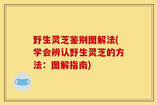 野生灵芝鉴别图解法(学会辨认野生灵芝的方法：图解指南)