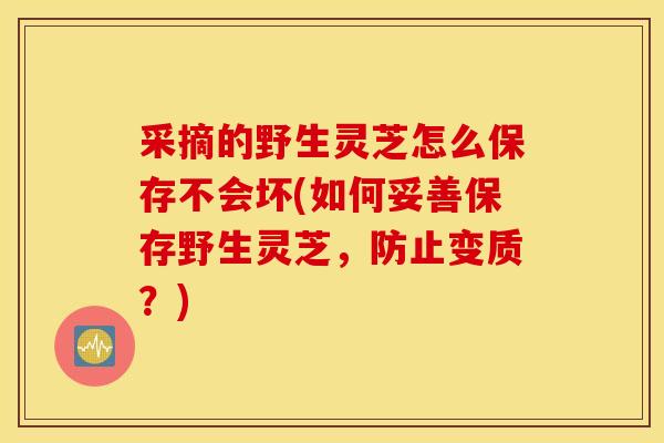 采摘的野生灵芝怎么保存不会坏(如何妥善保存野生灵芝，防止变质？)