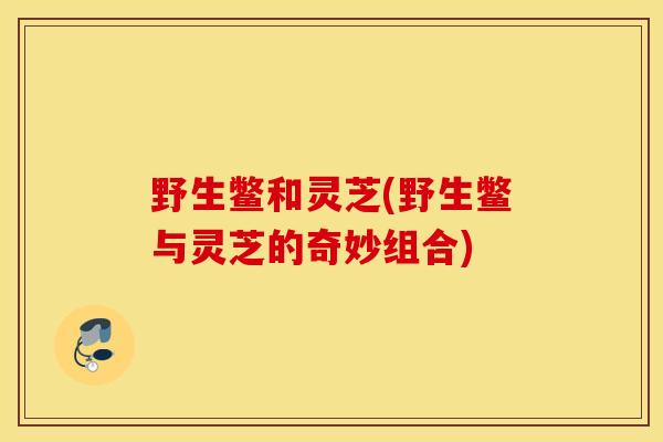 野生鳖和灵芝(野生鳖与灵芝的奇妙组合)
