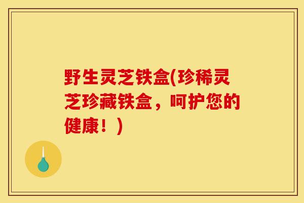 野生灵芝铁盒(珍稀灵芝珍藏铁盒，呵护您的健康！)