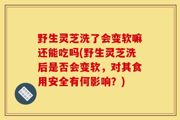 野生灵芝洗了会变软嘛还能吃吗(野生灵芝洗后是否会变软，对其食用安全有何影响？)