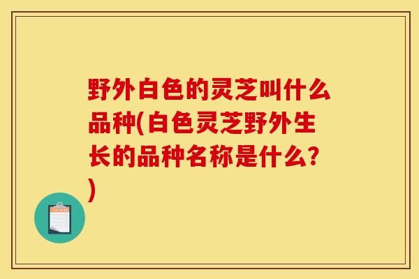 野外白色的灵芝叫什么品种(白色灵芝野外生长的品种名称是什么？)