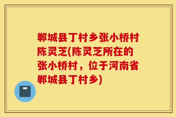 郸城县丁村乡张小桥村陈灵芝(陈灵芝所在的张小桥村，位于河南省郸城县丁村乡)