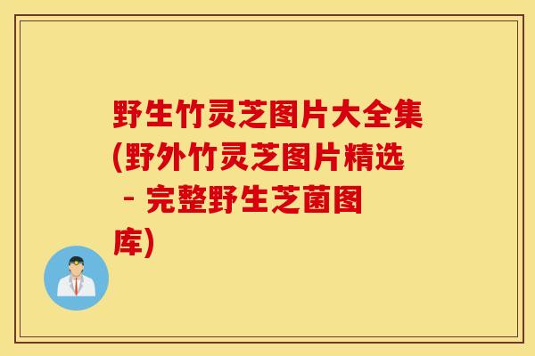 野生竹灵芝图片大全集(野外竹灵芝图片精选 - 完整野生芝菌图库)