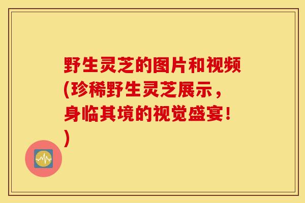 野生灵芝的图片和视频(珍稀野生灵芝展示，身临其境的视觉盛宴！)
