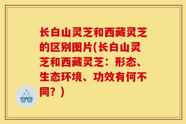 长白山灵芝和西藏灵芝的区别图片(长白山灵芝和西藏灵芝：形态、生态环境、功效有何不同？)