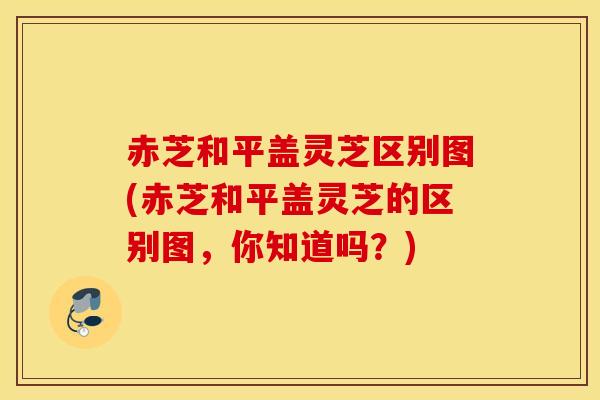 赤芝和平盖灵芝区别图(赤芝和平盖灵芝的区别图，你知道吗？)