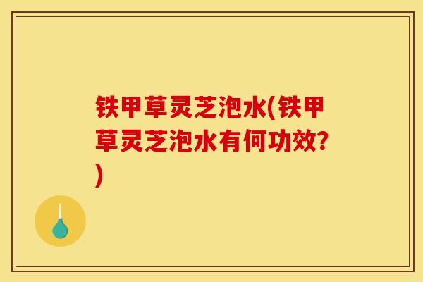 铁甲草灵芝泡水(铁甲草灵芝泡水有何功效？)