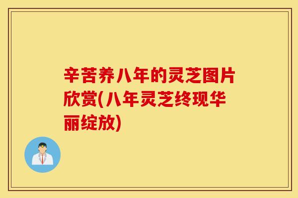辛苦养八年的灵芝图片欣赏(八年灵芝终现华丽绽放)