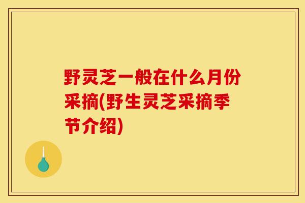 野灵芝一般在什么月份采摘(野生灵芝采摘季节介绍)
