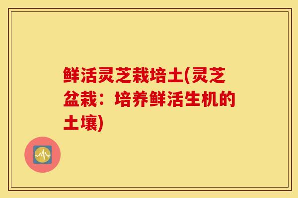 鲜活灵芝栽培土(灵芝盆栽：培养鲜活生机的土壤)