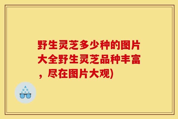 野生灵芝多少种的图片大全野生灵芝品种丰富，尽在图片大观)