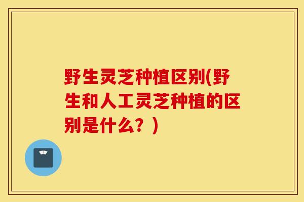 野生灵芝种植区别(野生和人工灵芝种植的区别是什么？)