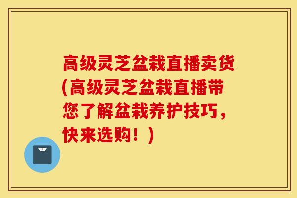 高级灵芝盆栽直播卖货(高级灵芝盆栽直播带您了解盆栽养护技巧，快来选购！)