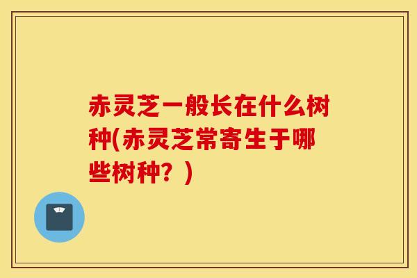 赤灵芝一般长在什么树种(赤灵芝常寄生于哪些树种？)