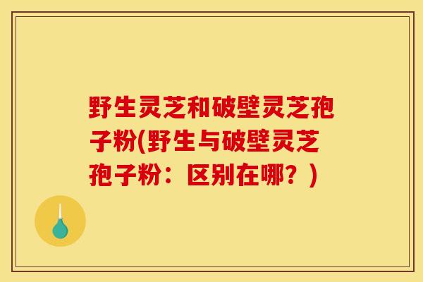 野生灵芝和破壁灵芝孢子粉(野生与破壁灵芝孢子粉：区别在哪？)