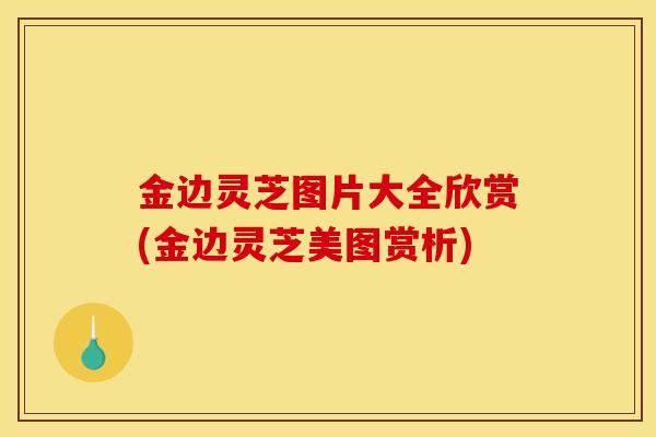 金边灵芝图片大全欣赏(金边灵芝美图赏析)