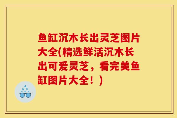 鱼缸沉木长出灵芝图片大全(精选鲜活沉木长出可爱灵芝，看完美鱼缸图片大全！)