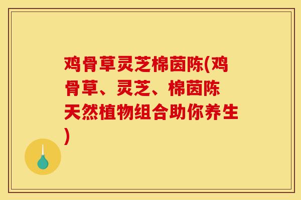 鸡骨草灵芝棉茵陈(鸡骨草、灵芝、棉茵陈 天然植物组合助你养生)