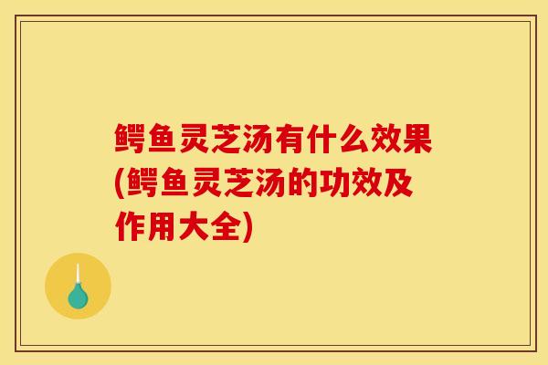鳄鱼灵芝汤有什么效果(鳄鱼灵芝汤的功效及作用大全)