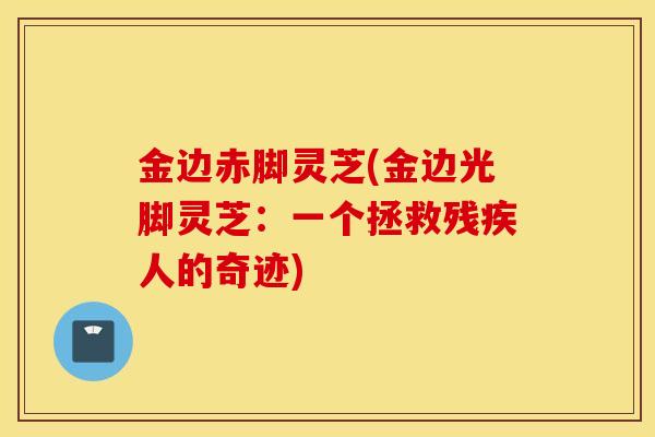 金边赤脚灵芝(金边光脚灵芝：一个拯救残疾人的奇迹)