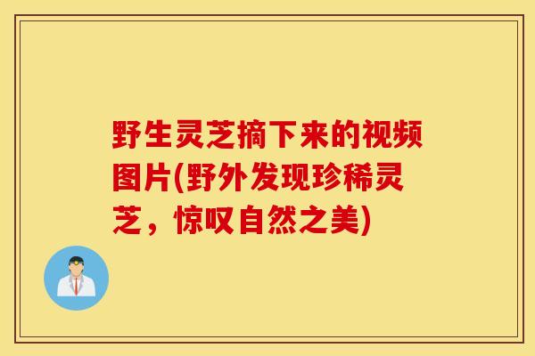 野生灵芝摘下来的视频图片(野外发现珍稀灵芝，惊叹自然之美)