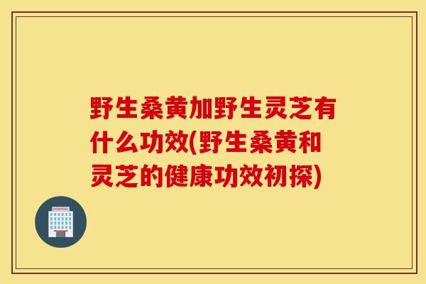 野生桑黄加野生灵芝有什么功效(野生桑黄和灵芝的健康功效初探)
