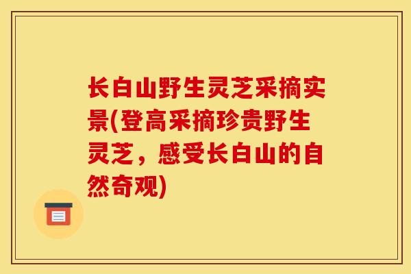 长白山野生灵芝采摘实景(登高采摘珍贵野生灵芝，感受长白山的自然奇观)