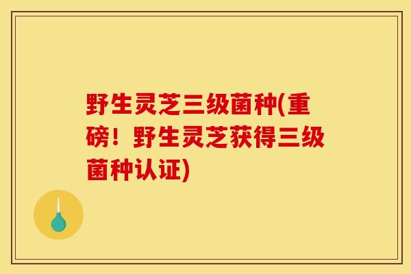 野生灵芝三级菌种(重磅！野生灵芝获得三级菌种认证)