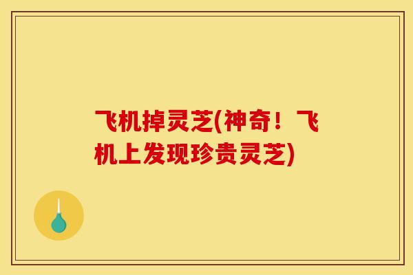 飞机掉灵芝(神奇！飞机上发现珍贵灵芝)