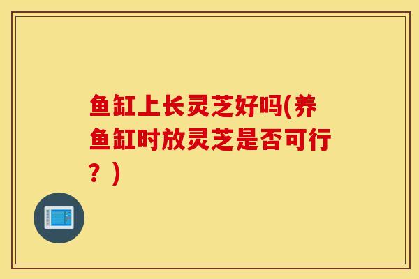 鱼缸上长灵芝好吗(养鱼缸时放灵芝是否可行？)