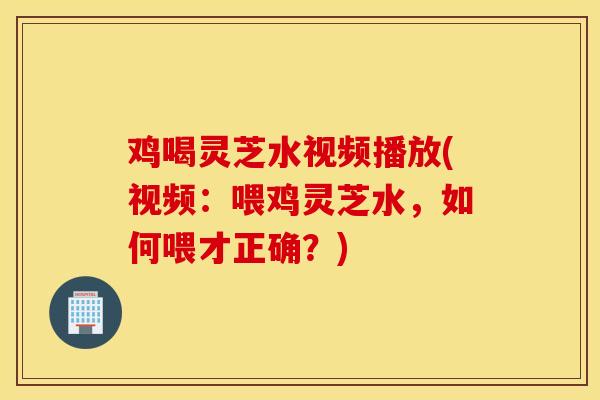 鸡喝灵芝水视频播放(视频：喂鸡灵芝水，如何喂才正确？)