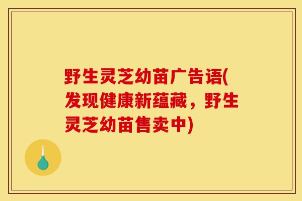野生灵芝幼苗广告语(发现健康新蕴藏，野生灵芝幼苗售卖中)