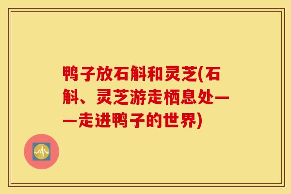 鸭子放石斛和灵芝(石斛、灵芝游走栖息处——走进鸭子的世界)