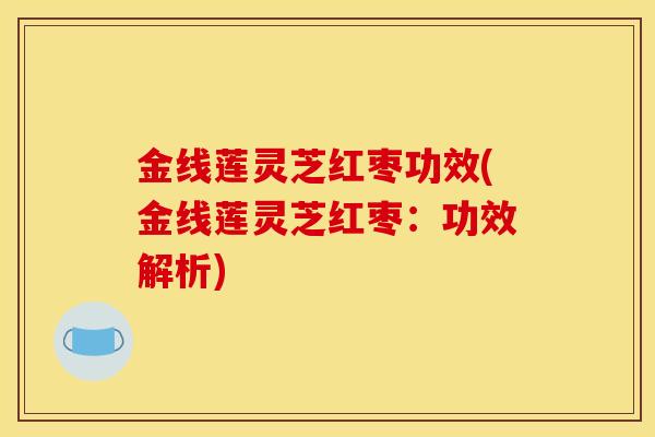 金线莲灵芝红枣功效(金线莲灵芝红枣：功效解析)