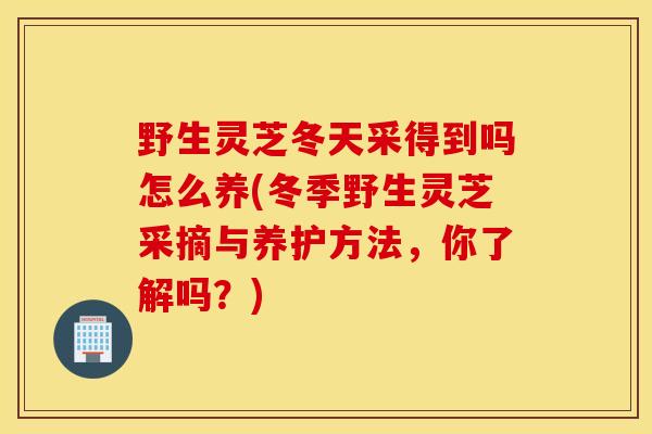 野生灵芝冬天采得到吗怎么养(冬季野生灵芝采摘与养护方法，你了解吗？)