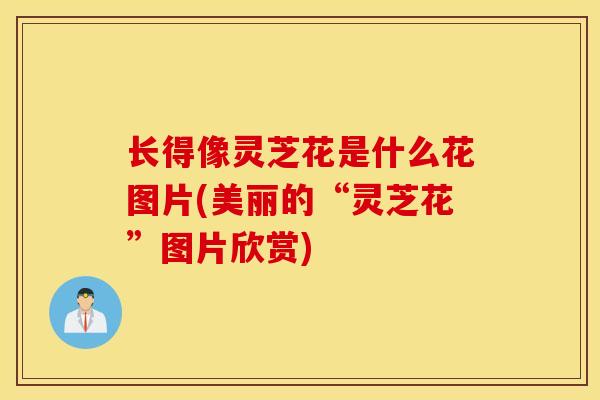 长得像灵芝花是什么花图片(美丽的“灵芝花”图片欣赏)