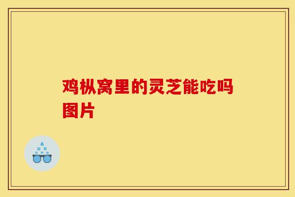 鸡枞窝里的灵芝能吃吗图片