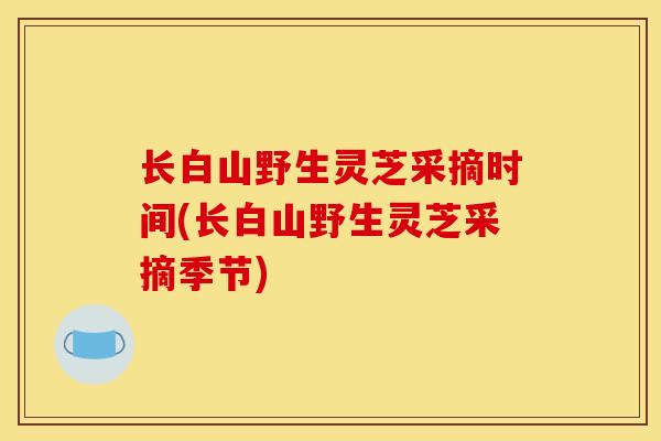 长白山野生灵芝采摘时间(长白山野生灵芝采摘季节)