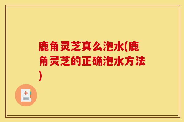 鹿角灵芝真么泡水(鹿角灵芝的正确泡水方法)