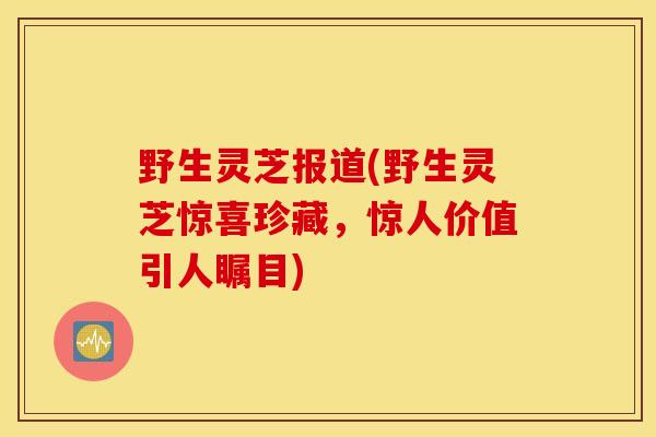 野生灵芝报道(野生灵芝惊喜珍藏，惊人价值引人瞩目)