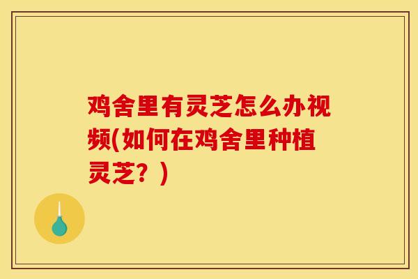 鸡舍里有灵芝怎么办视频(如何在鸡舍里种植灵芝？)