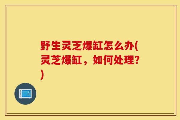 野生灵芝爆缸怎么办(灵芝爆缸，如何处理？)