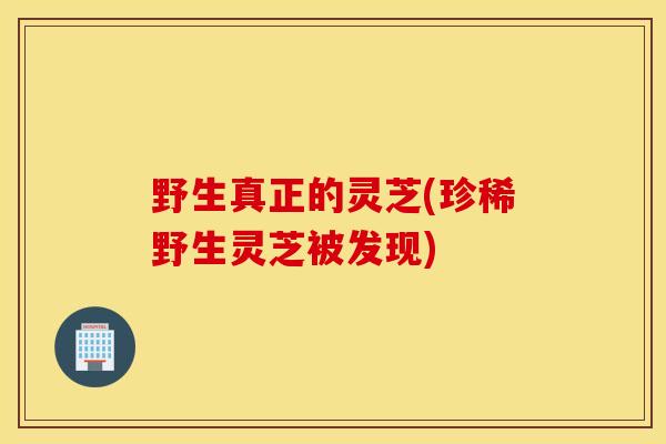 野生真正的灵芝(珍稀野生灵芝被发现)